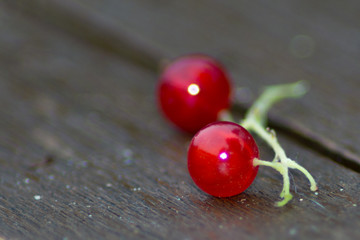 Redcurrant on wooden table