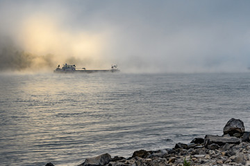 Nebel am Rhein