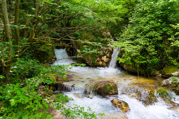 Obraz premium Piccole cascate lungo il ruscello