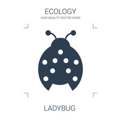 ladybug icon