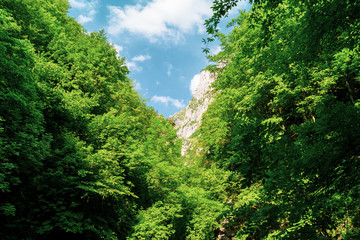 Scorcio dal sentiero della gola dell'infernaccio monti sibillini