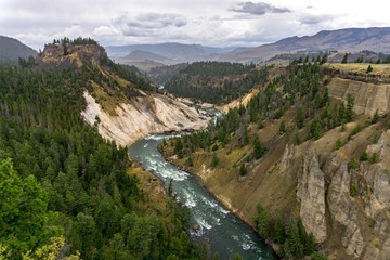 Fototapeta premium Yellowstone River Canyon 