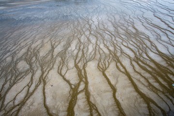 vanes and channels through the sand