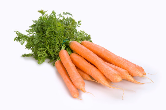 Bunch of fresh carrots on white background