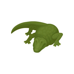 Crocodile, green amphibian animal vector Illustration on a white background