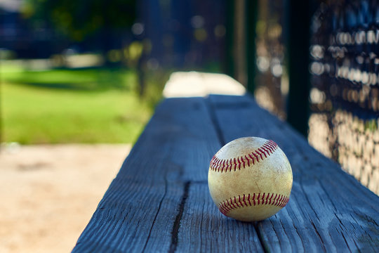 Baseball Resting On Dugout Bench