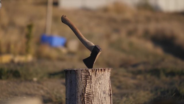 male hand throws an ax in the log