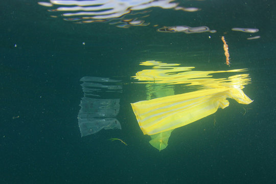 Plastic bags, bottles and straws pollution in ocean 