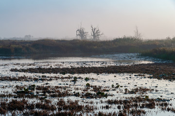Barwy jesieni na Podlasiu