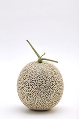 Single cantaloupe melon on white