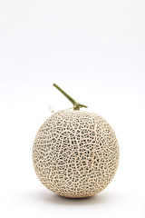 Single cantaloupe melon on white