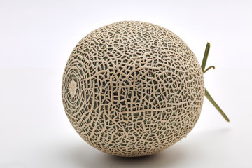 Single cantaloupe melon on white
