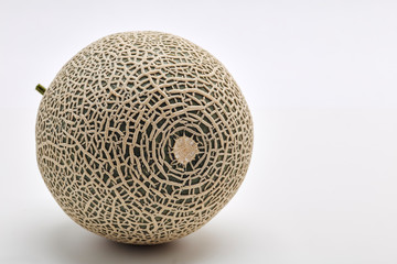 Single cantaloupe melon on white