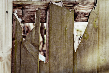 Damaged fence