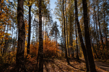 Barwy jesieni na Podlasiu