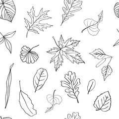 Autumn leaves pattern isolated on white background. Black and white vector illustration. Hand drawn.