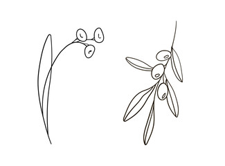 Flowers isolated on white background. Black and white vector illustration. Hand drawn.