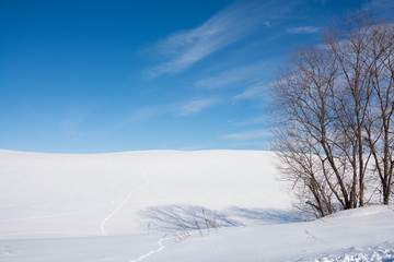 冬の青空と雪の丘