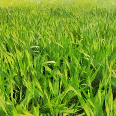 Hand drawing watercolor art on canvas. Artistic big print. Original modern painting. Acrylic dry brush background.  Wonderful green grass landscape. Beautiful view. Charming resort.    