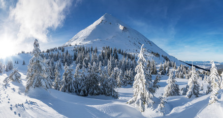 Fototapeta na wymiar Beautiful winter landscape of The Carpathian Mountains. Petros peak covered with snow.