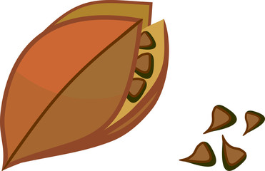 Seeds of gladiolus isolated on white background