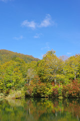 秋の雨飾高原（鎌池）