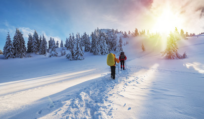 Winter hiking. Tourists are hiking in the snow-covered mountains.