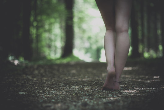 F&uuml;sse auf dem Waldboden