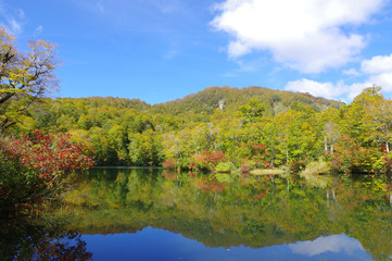 Fototapeta premium 秋の雨飾高原（鎌池）