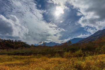 長野県栂池高原の秋