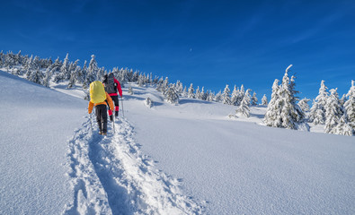 Winter hiking. Tourists are hiking in the snow-covered mountains.