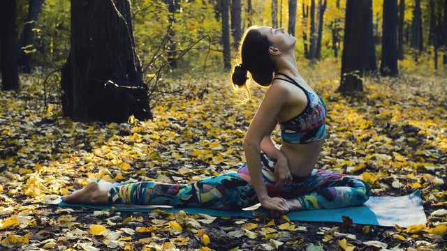 Young beautiful woman doing exercises in autumn forest. Sunny day, golden autumn