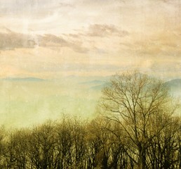 Obraz premium Vintage winter landscape with bare trees and cloudy sky. Nature background.