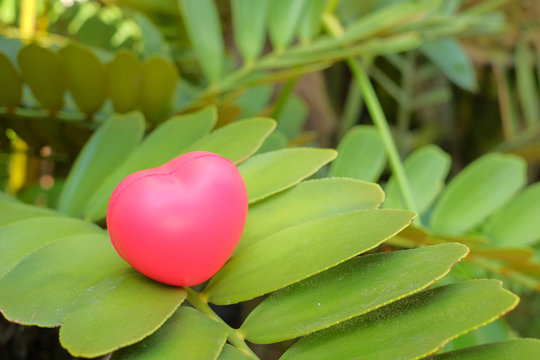 Red heart on green leave