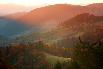 Autumn mountains trees and fields colorful landscape beauty in nature