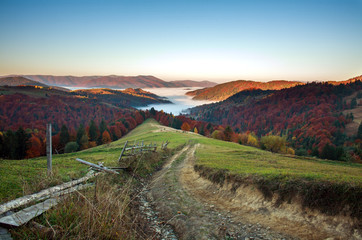 Fototapeta na wymiar Rural road trail in autumn mountains in fog at sunrise beauty in nature