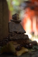 Pedra Rocha natureza 