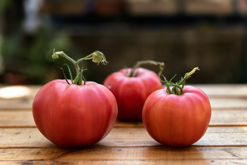 Organic Tomatoes from a Small Garden on a Rustic Wooden Table