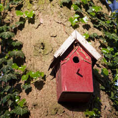 red wooden bird house against tree trunk between leaves