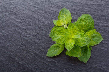 essential oil of peppermint on a dark stone background