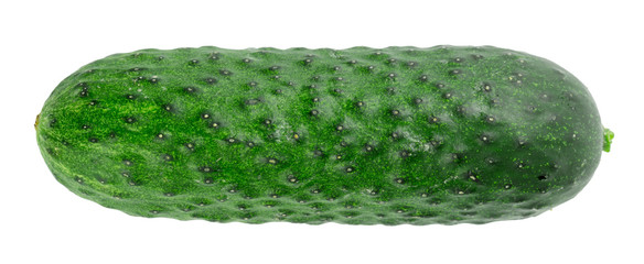 cucumber isolated on white background