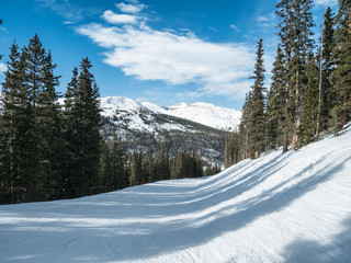 NICE VIEW OF SKI TRIAL WITH PINE TREES IN COLORADO IN BRIGHT BLUE SKY