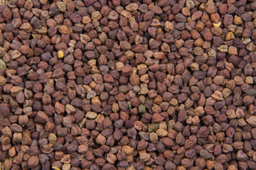 chick pea isolated on texture background.