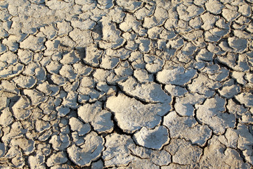 dry land in the wild, closeup of photo, north china