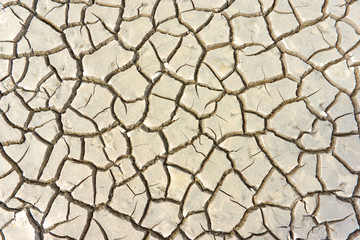 Pattern of cracked ground at the seashore. Brown, beige, light tan and grey colored background.     