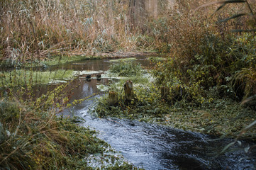 Река Россошь