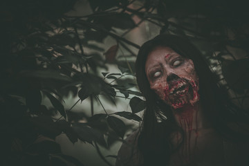 Portrait of asian woman make up ghost face with blood,Horror scene,Scary background,Halloween...