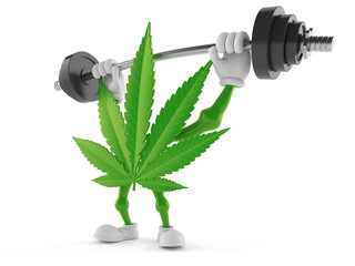 5 Super Powers of Hemp Plastic Superpowers of hemp plastic