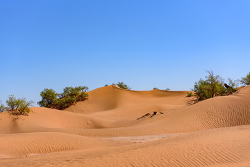 Fototapeta na wymiar Dunes in the desert of Sahara in Morocco.