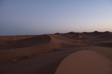 Obraz na płótnie Canvas Dunes in the desert of Sahara, Morocco.